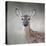 Little Miss Lashes White Tailed Fawn-Jai Johnson-Premier Image Canvas