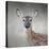 Little Miss Lashes White Tailed Fawn-Jai Johnson-Premier Image Canvas