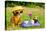 Little Puppy Of Chihuahua Breed At The Picnic On Green Grass-vitalytitov-Premier Image Canvas