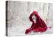 Little Red Riding Hood in Winter-Heike Willers-Premier Image Canvas