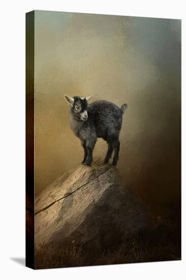 Little Rock Climber-Jai Johnson-Premier Image Canvas