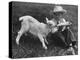 Little White Goat Being Fed from Bottle by Little Boy, at White Horse Ranch-William C^ Shrout-Premier Image Canvas