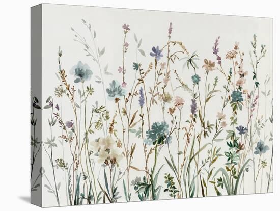 Little Wild Flowers-Asia Jensen-Stretched Canvas