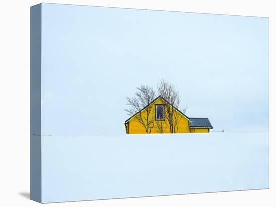 Little yellow house-Marco Carmassi-Premier Image Canvas