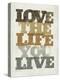 Live and Love II-null-Stretched Canvas