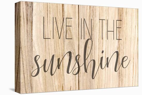 Live In The Sunshine-Kimberly Allen-Stretched Canvas