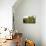 Live Oak with Spanish Moss, Atchafalaya Basin, Louisiana, USA-Alison Jones-Premier Image Canvas displayed on a wall