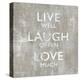 Live Well-Jamie MacDowell-Stretched Canvas