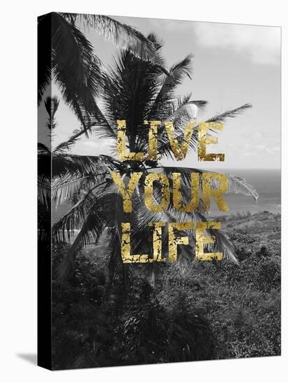 Live Your Life-Sheldon Lewis-Stretched Canvas