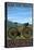 Livermore, California - Mountain Bike Scene-Lantern Press-Stretched Canvas