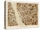 Liverpool England City Street Map-Michael Tompsett-Stretched Canvas