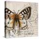 Living your Dreams I-Patricia Pinto-Stretched Canvas