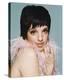 Liza Minnelli-null-Stretched Canvas