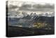 Lizard Head, Mt Wilson, Wilson Peak, & El Diente Peak During Autumn Storm, San Juan Mts, Colorado-Dan Holz-Premier Image Canvas