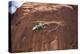 Lizard on surface of rock, Hole 'N the Rock, Zion National Park, Utah, USA-Panoramic Images-Premier Image Canvas