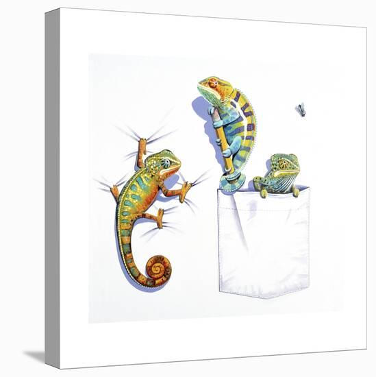Lizards-null-Premier Image Canvas
