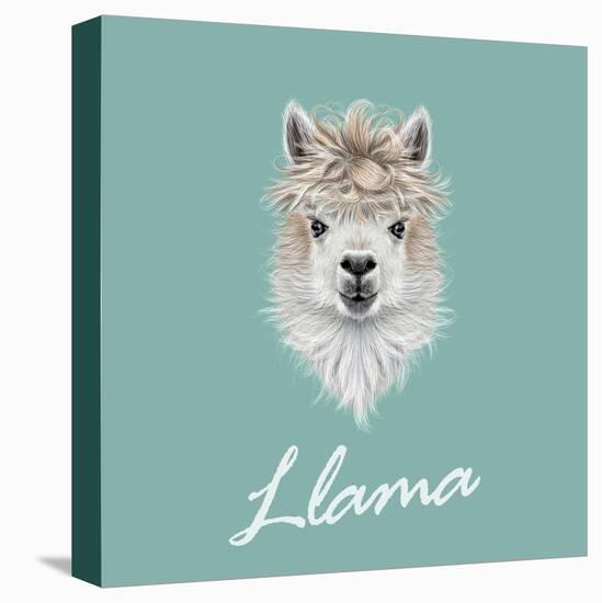Llama Animal Portrait-ant_art-Stretched Canvas