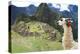 Llama at Historic Lost City of Machu Picchu - Peru-Yaro-Premier Image Canvas