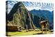 Llama at Machu Picchu, Incas Ruins in the Peruvian Andes at Cuzco Peru-OSTILL-Premier Image Canvas