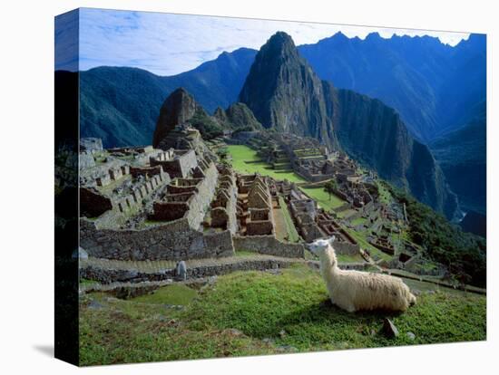 Llama Rests Overlooking Ruins of Machu Picchu in the Andes Mountains, Peru-Jim Zuckerman-Premier Image Canvas