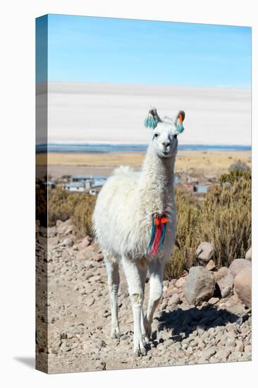 Llama with Uyuni Salt Flats-jkraft5-Premier Image Canvas