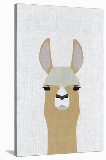 Llama-Annie Bailey Art-Stretched Canvas