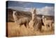 Llamas (Alpaca) in Andes Mountains, Peru, South America-Pavel Svoboda Photography-Premier Image Canvas