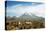 Llamas with snowcapped volcano Sajama, Sajama National Park, Bolivia-Anthony Asael-Premier Image Canvas