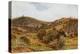 Llandrindod Wells, Cefnllys Church-Alfred Robert Quinton-Premier Image Canvas