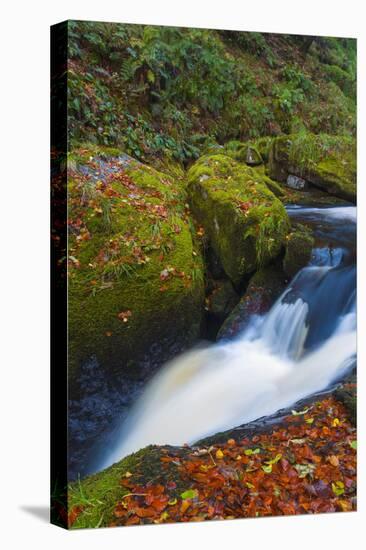 Llanrhaeadr Ym Mochnant-Alan Copson-Premier Image Canvas