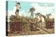 Loading Sugar Cane, Hawaii-null-Stretched Canvas