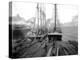 Loading Timber at Tacoma Mill, 1909-Asahel Curtis-Premier Image Canvas