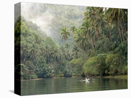 Loboc River, Bohol, Philippines, Southeast Asia, Asia-Tony Waltham-Premier Image Canvas