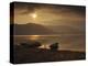 Local Fishing Boats on Phewa Lake at Sunset, Gandak, Nepal, Asia-Mark Chivers-Premier Image Canvas