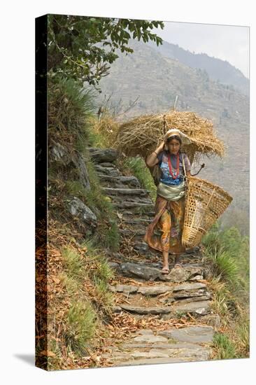 Local Woman Follows a Trail Carrying a Basket Called a Doko, Annapurna, Nepal-David Noyes-Premier Image Canvas