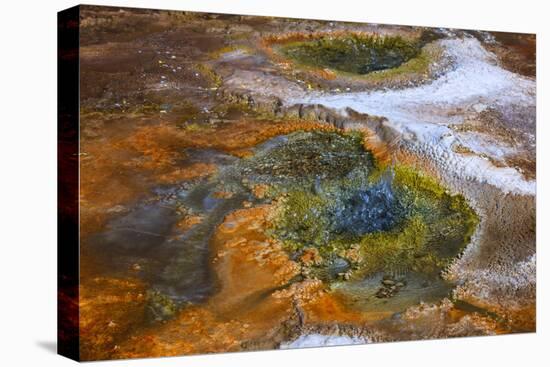 Located in the vast pools of geothermal activity at El Tatio-Mallorie Ostrowitz-Premier Image Canvas