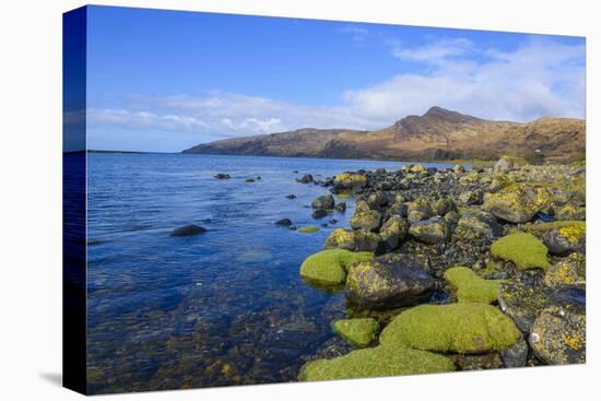 Loch Buie, Isle of Mull, Inner Hebrides, Argyll and Bute, Scotland, United Kingdom-Gary Cook-Premier Image Canvas