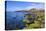 Loch Buie, Isle of Mull, Inner Hebrides, Argyll and Bute, Scotland, United Kingdom-Gary Cook-Premier Image Canvas