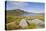 Loch Enoch, Looking Towards Merrick, Galloway Hills, Dumfries and Galloway, Scotland, UK-Gary Cook-Premier Image Canvas