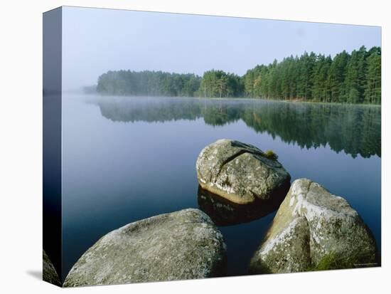 Loch Garten Rspb Reserve at Dawn, Highlands, Scotland, UK-Pete Cairns-Premier Image Canvas