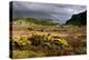 Loch Maree, Highland, Scotland-Peter Thompson-Premier Image Canvas