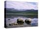 Loch Morlich and the Cairngorms, Aviemore, Highland Region, Scotland, United Kingdom-Roy Rainford-Premier Image Canvas