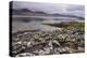 Loch Na Keal, Near Kellan, Isle of Mull, Inner Hebrides, Argyll and Bute, Scotland, United Kingdom-Gary Cook-Premier Image Canvas