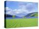 Loch Ness from the Western End, Highlands Region, Scotland, UK, Europe-I Vanderharst-Premier Image Canvas