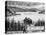 Loch Ness Monster, 1934-null-Premier Image Canvas