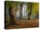 Locke Park-Craig Roberts-Premier Image Canvas