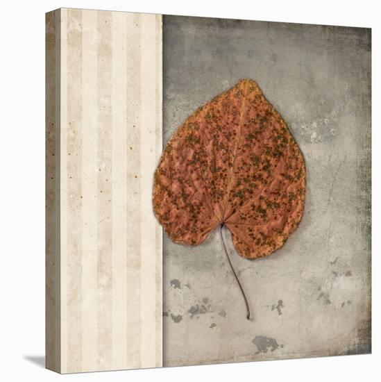 Lodge Leaf 2-LightBoxJournal-Premier Image Canvas