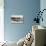 Lodore and Derwentwater Hotels Electric Launch-null-Premier Image Canvas displayed on a wall