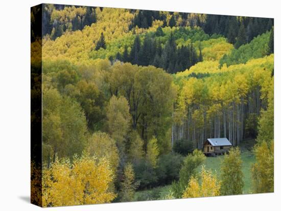 Log Cabin in Fall Colors, Dolores, San Juan National Forest, Colorado, USA-Rolf Nussbaumer-Premier Image Canvas