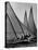 Log Canoe Sailboats Racing on the Chesapeake Bay-null-Premier Image Canvas